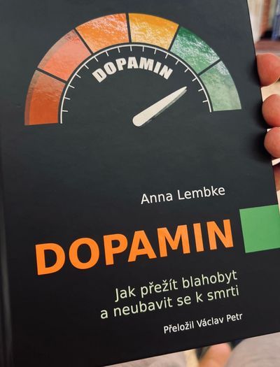 Dopamin - Anna Lembke